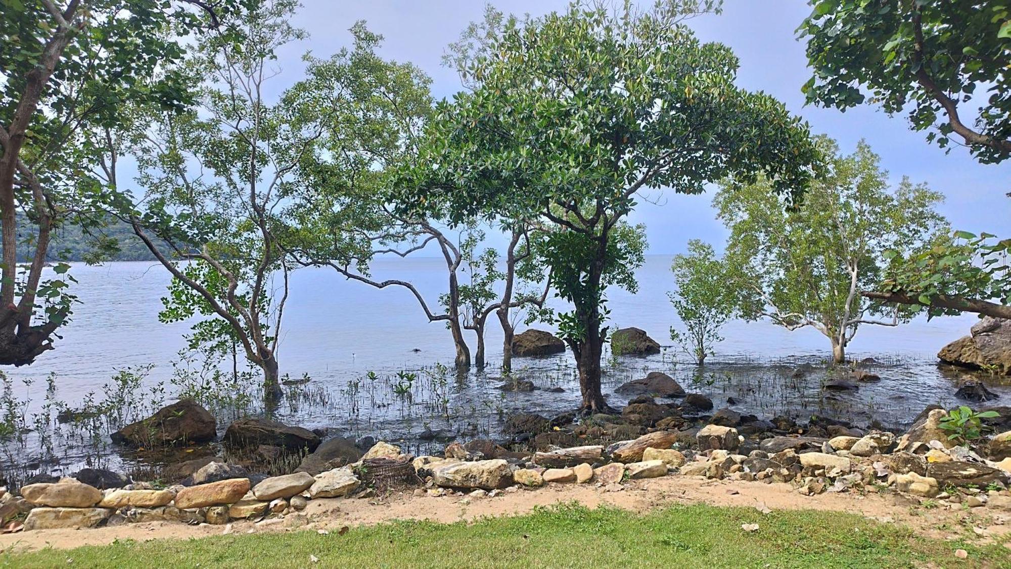 Nest Sense Resort Koh Chang Buitenkant foto